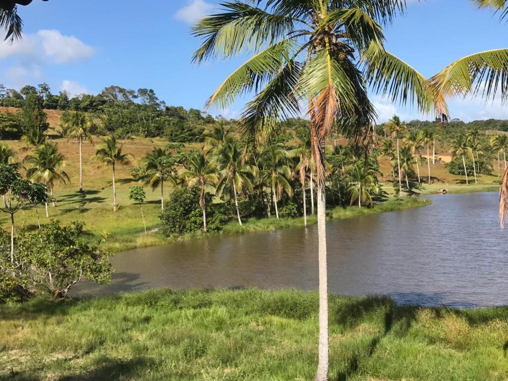 Oka 23 Milagres Villa São Miguel dos Milagres Buitenkant foto